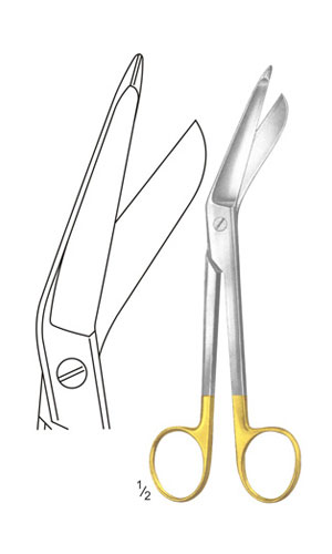 Plaster Shears